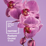 pantone-color-of-the-year-2014-radiant-orchid